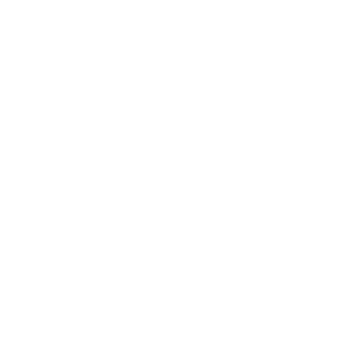 Q-Optics