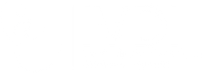 IVDI logo